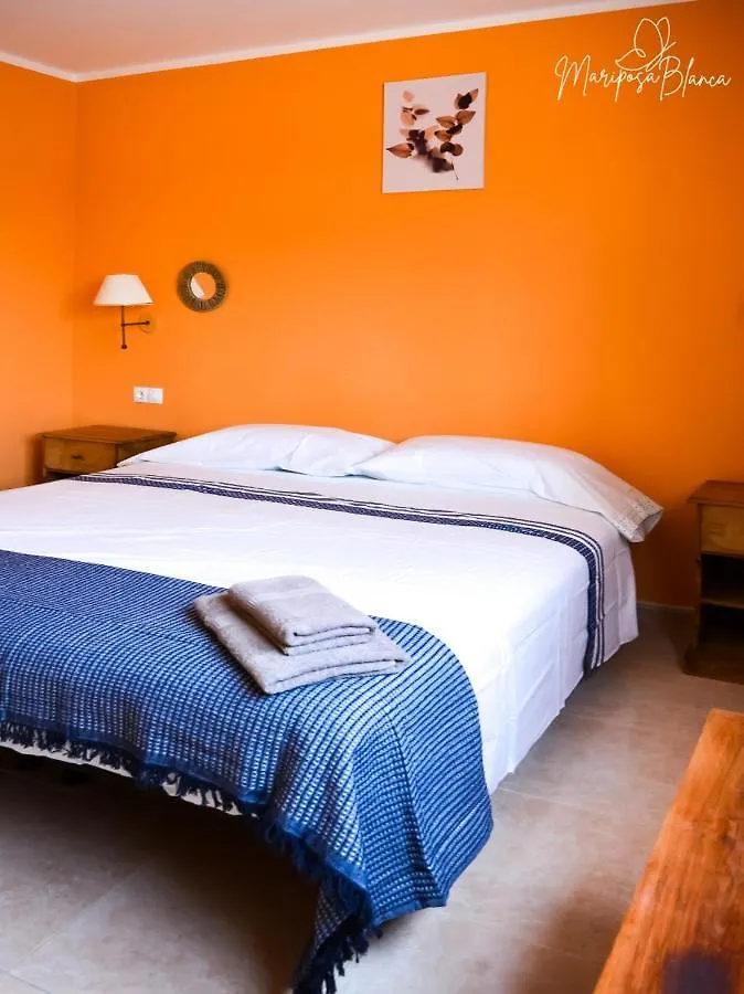 B-Rent Mariposa Private Garden Apartment Corralejo 0*,  Spain